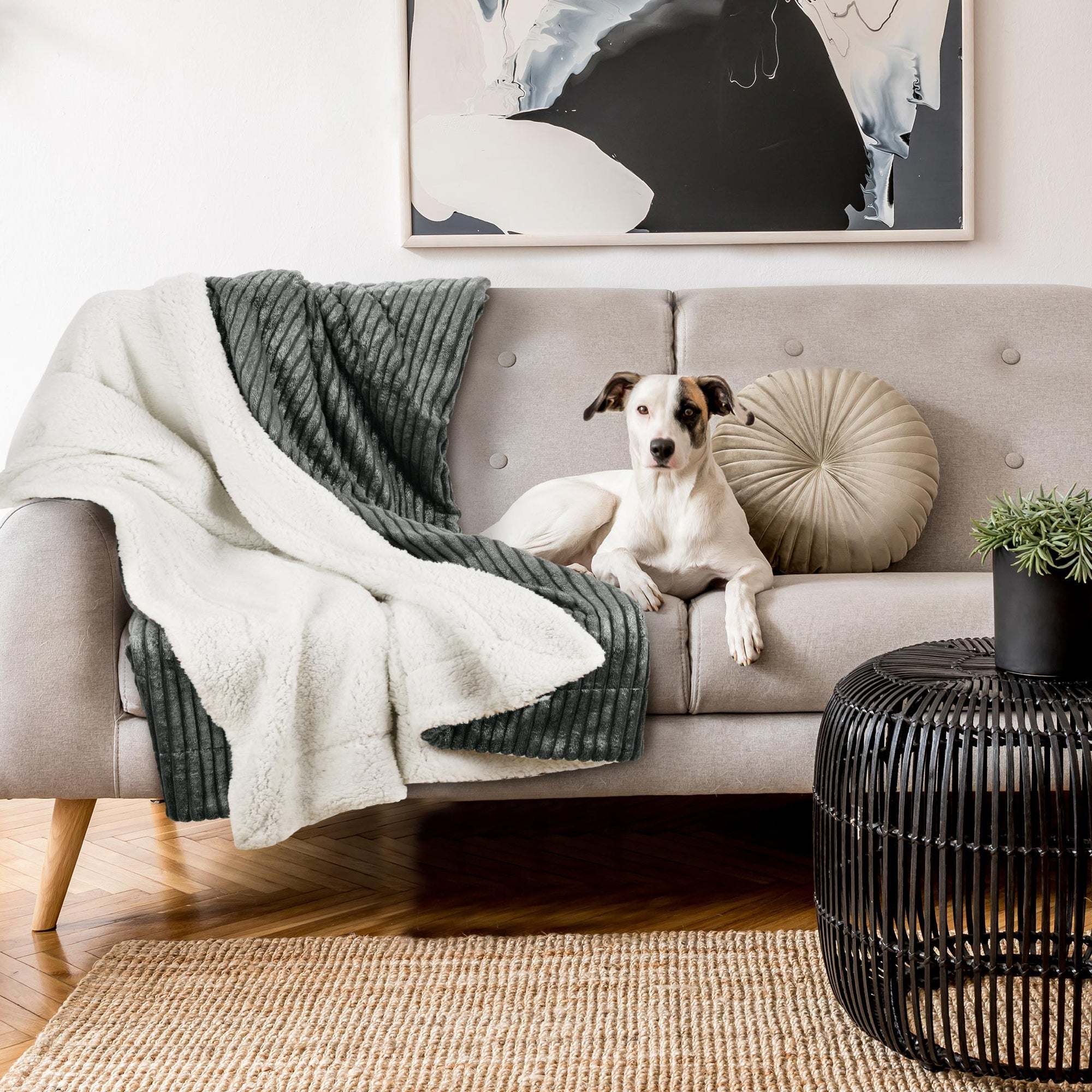 Extra fluffy Beautissu Sherpa Kuscheldecke Elisa blanket on a sofa with a dog, showcasing cozy and warm texture.