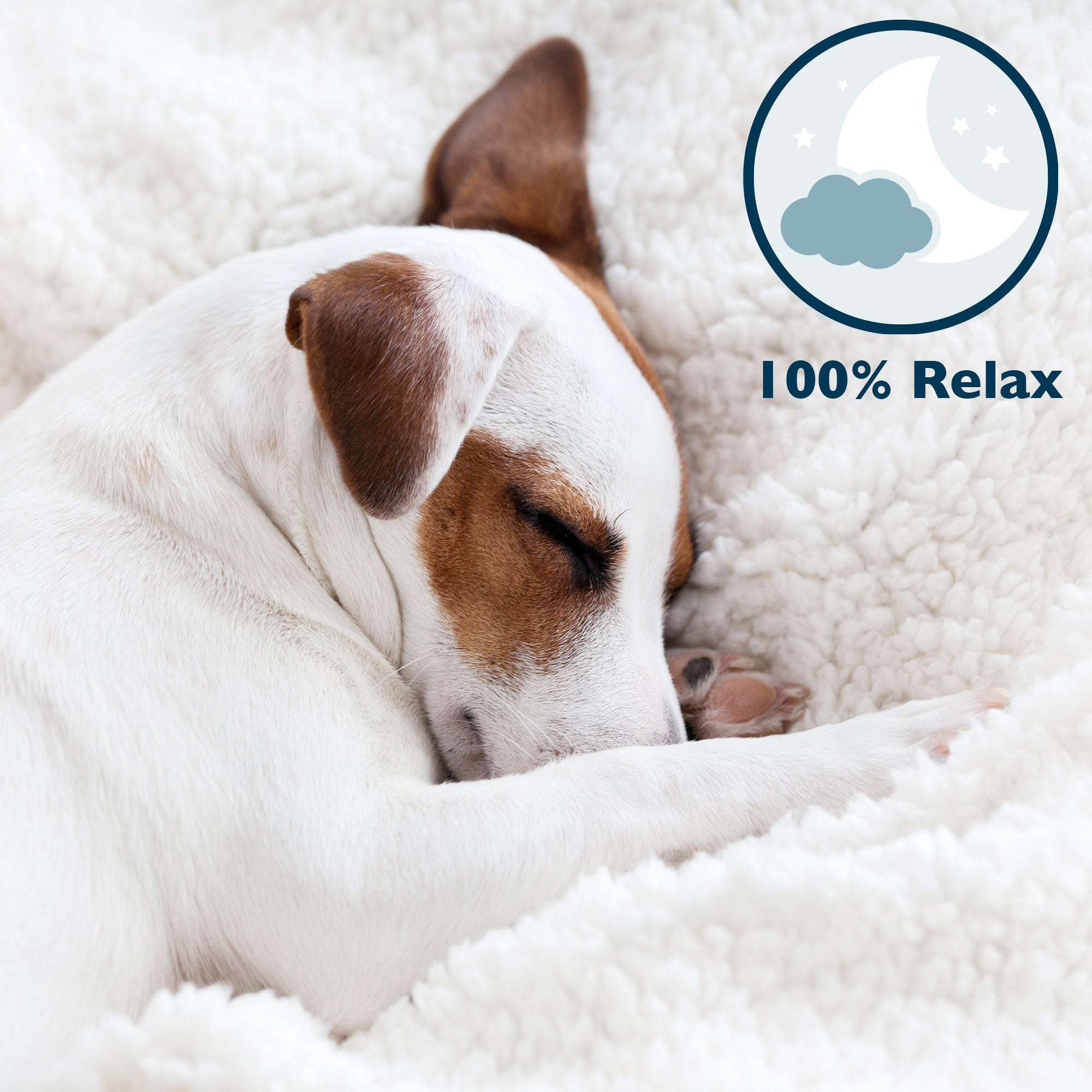 Dog sleeping comfortably on a fluffy Beautissu Sherpa Kuscheldecke Elisa blanket with 100% relax icon.