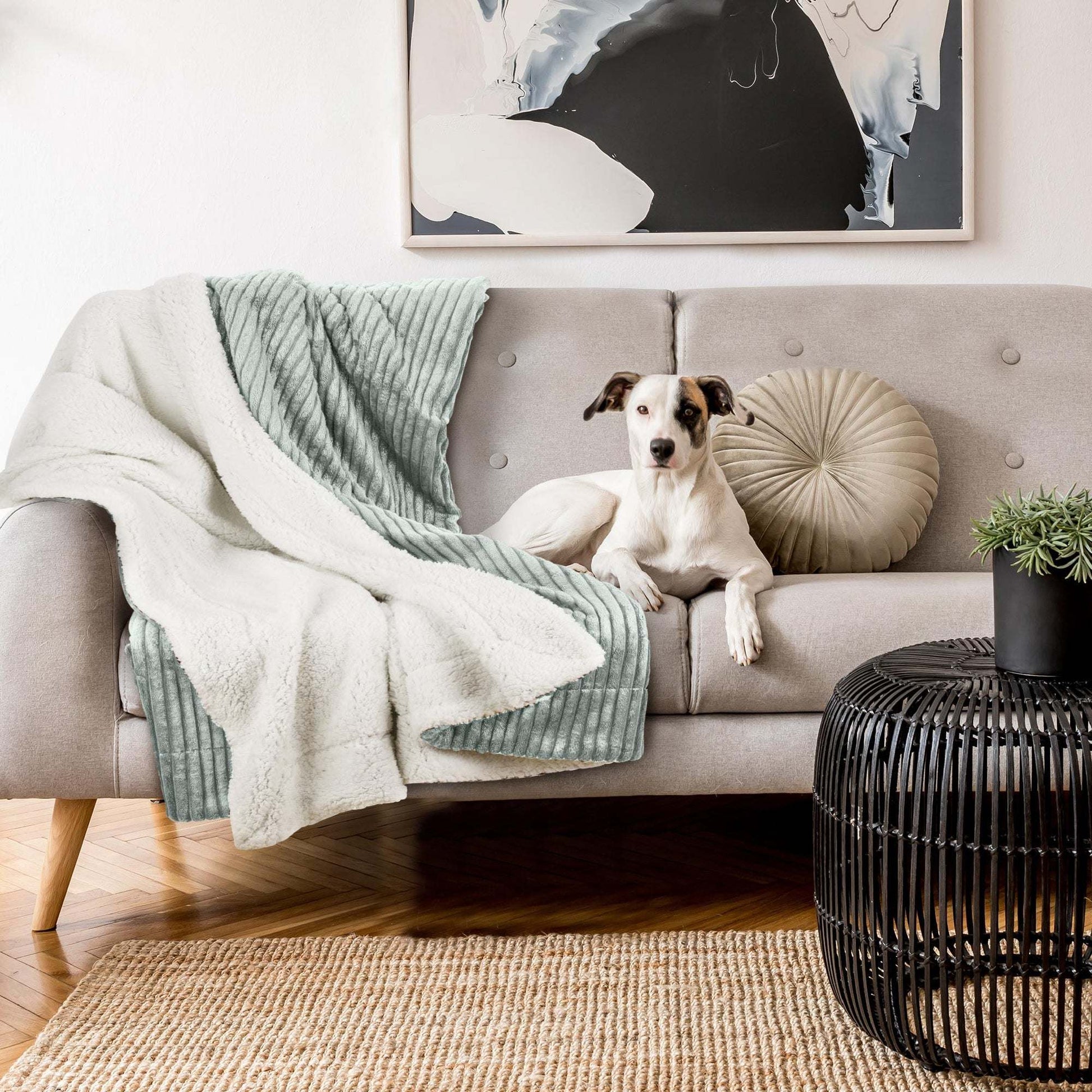 Beautissu Sherpa Kuscheldecke Elisa on sofa with dog, 150x200cm/220x240cm, extra fluffy and warm.