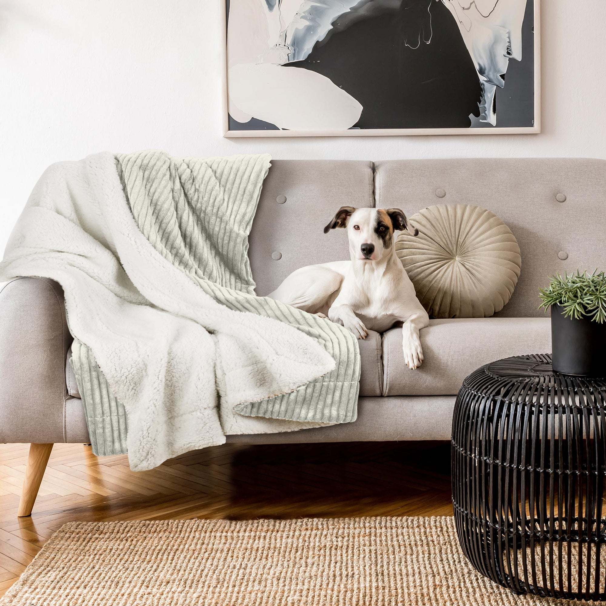 Beautissu Sherpa Kuscheldecke Elisa on sofa with dog, showcasing extra fluffy, warm polyester texture, available in sizes 150x200cm/220x240cm.