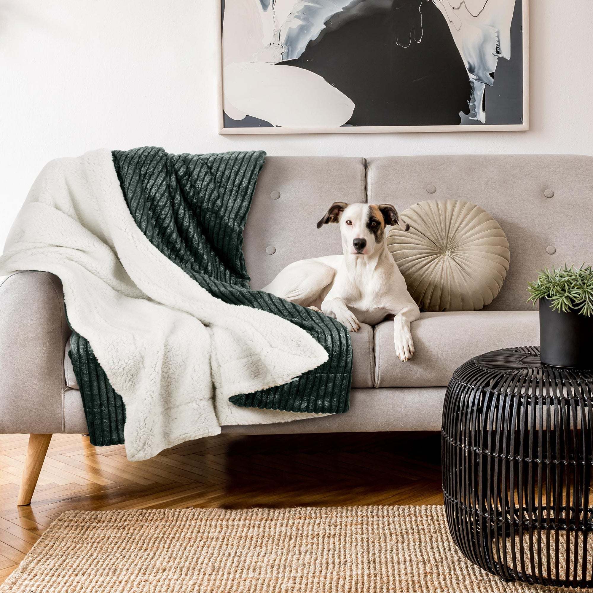 Beautissu Sherpa Kuscheldecke Elisa in grau-weiß auf Sofa mit Hund in hellem Wohnzimmer.