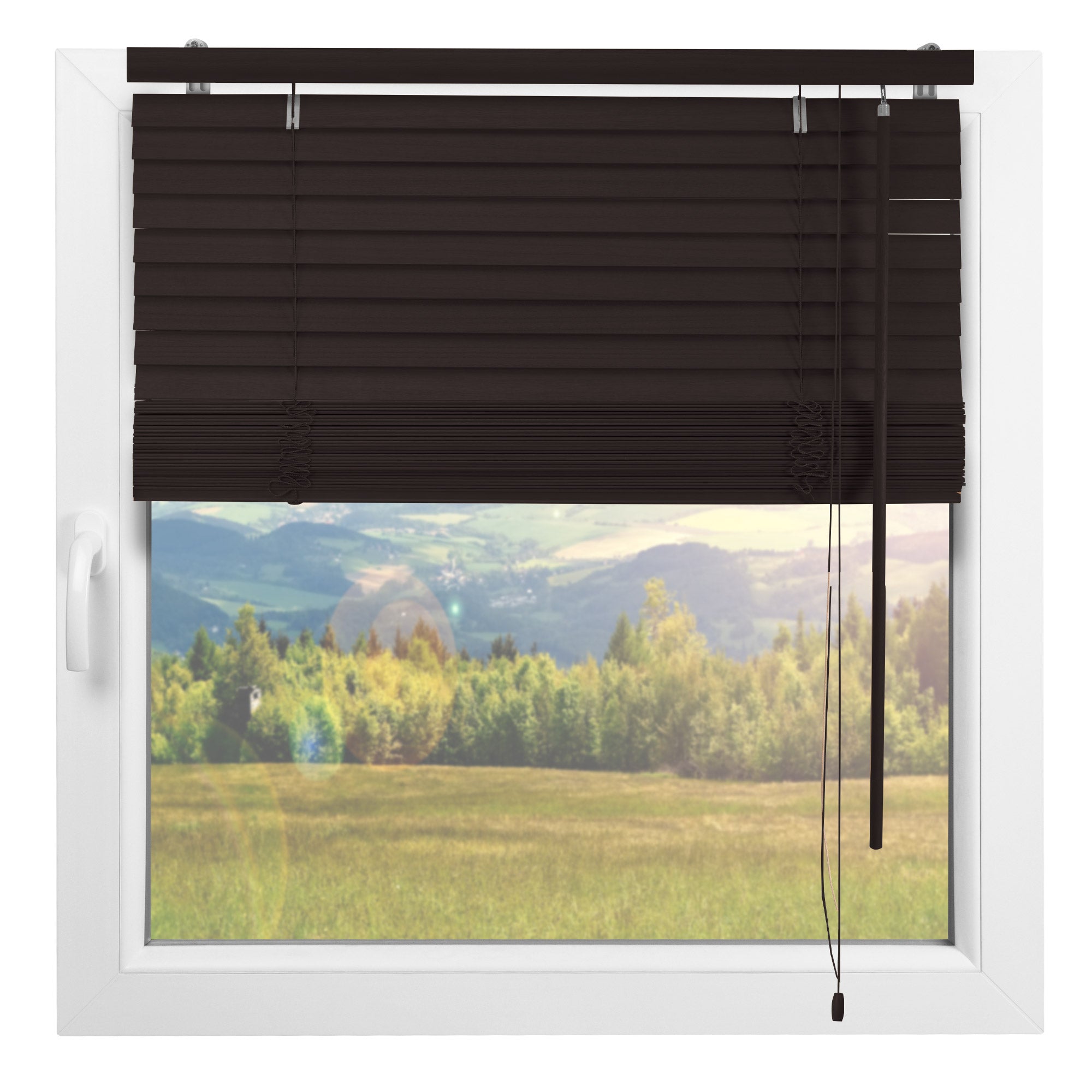 Sol Royal Holzjalousie JH3 in Fensterrahmen, verschiedene Farben und Größen, hochwertiges Design.