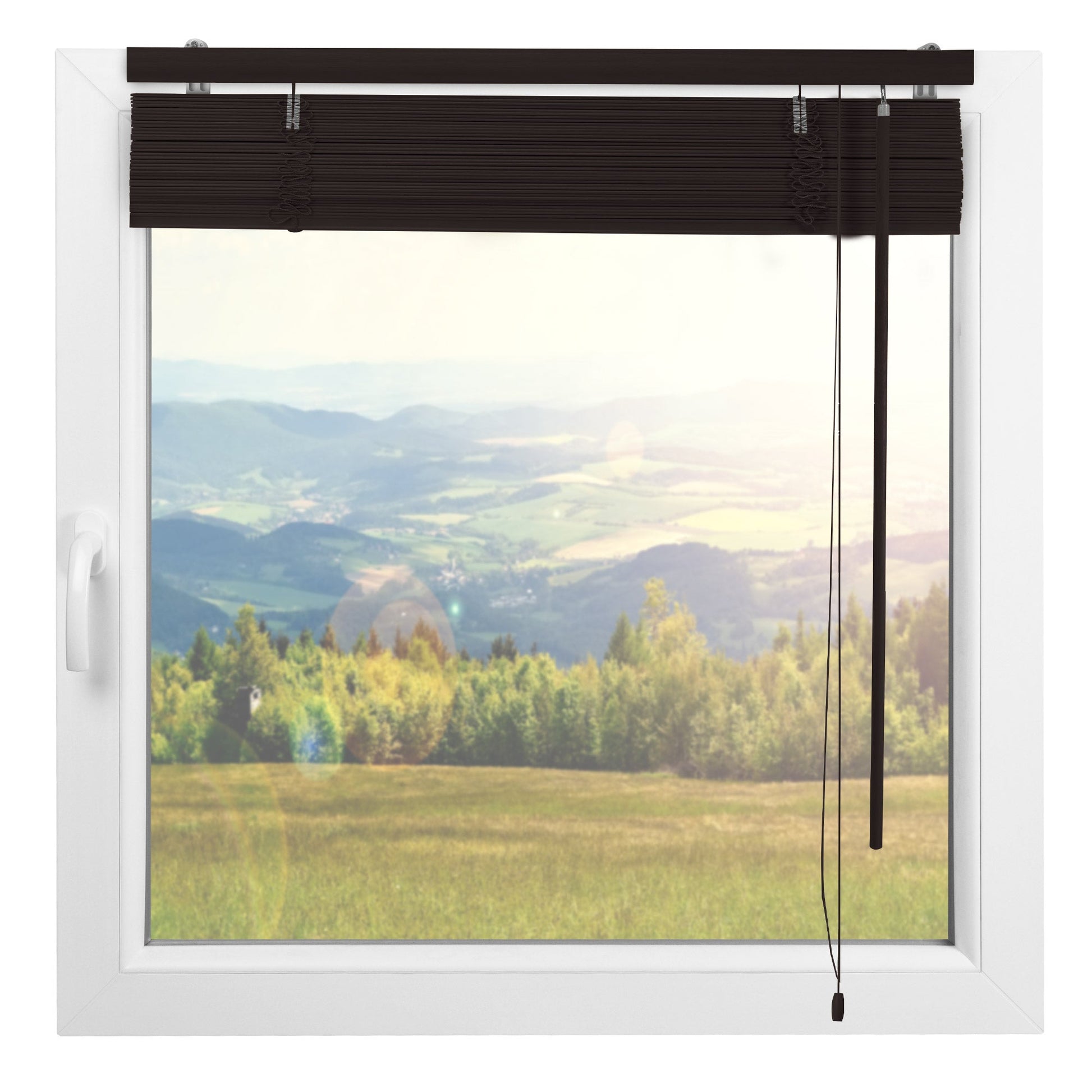 Wooden window blinds Sol Royal Holzjalousie JH3 with adjustable slats, shown in black, providing privacy and sun protection with a scenic view outside.